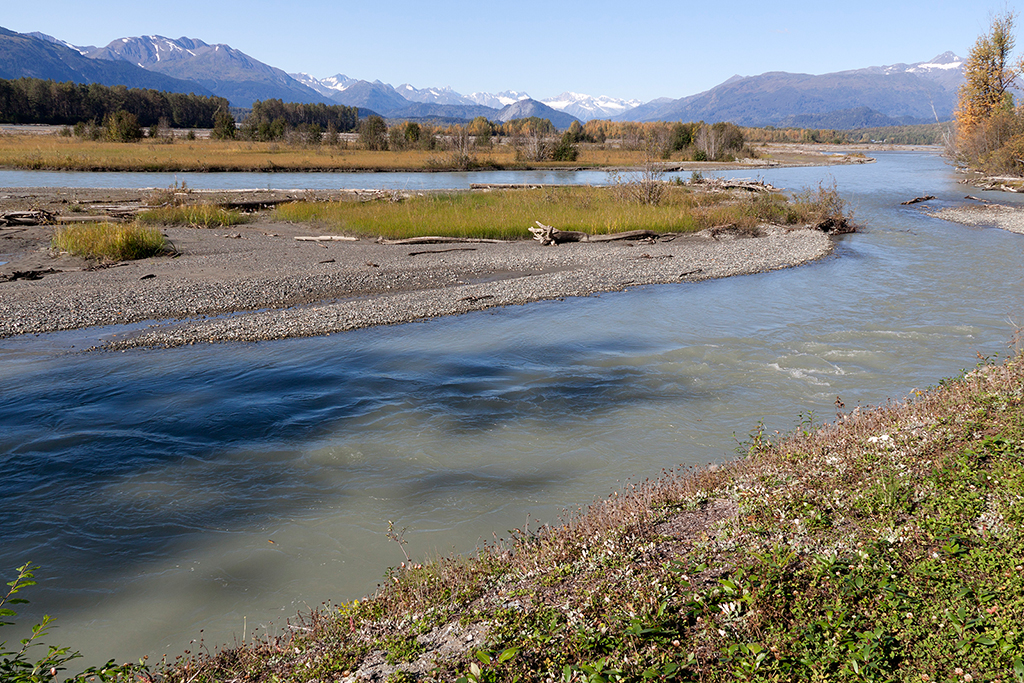 IMG_433.jpg - Chilkat River